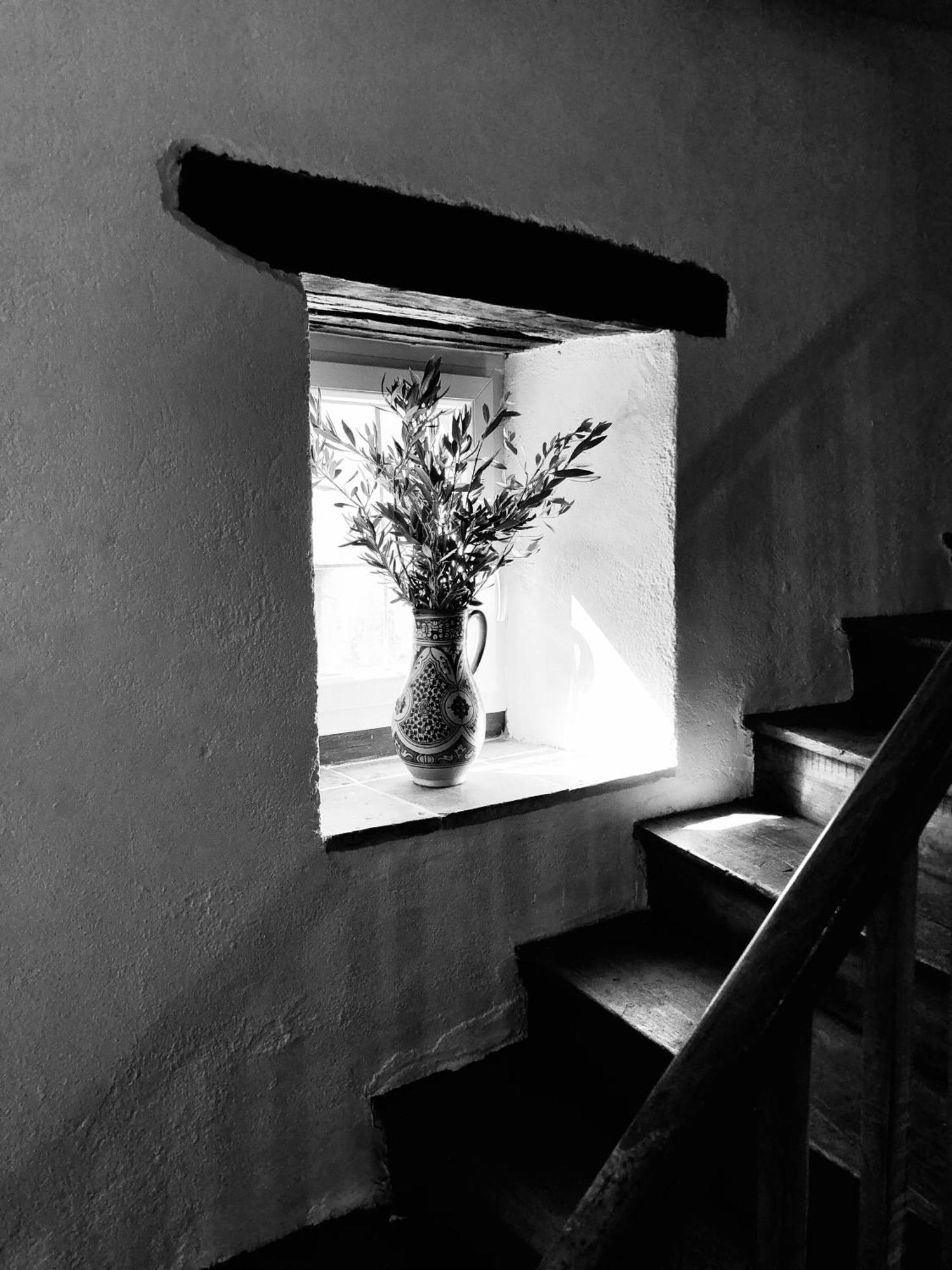 Maison De L'Aurausse Les Cabannes  Exterior foto